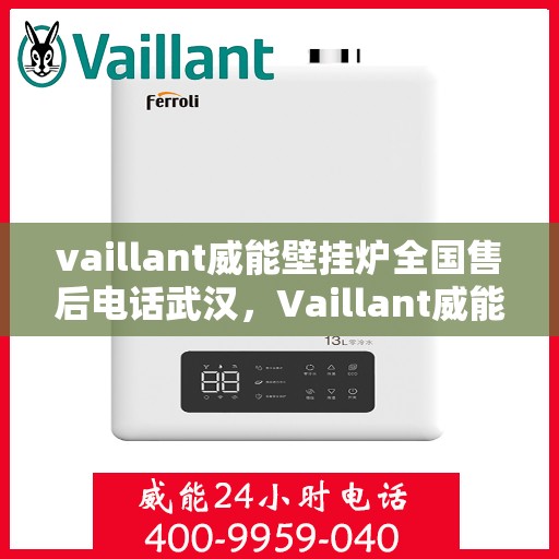 vaillant威能壁挂炉全国售后电话武汉，Vaillant威能壁挂炉全国售后电话武汉服务热线及维修指南