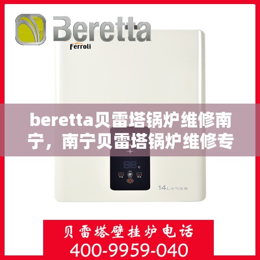 beretta贝雷塔锅炉维修南宁，南宁贝雷塔锅炉维修专业服务