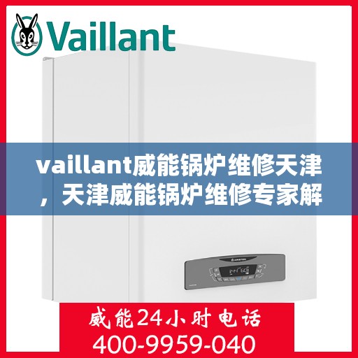 vaillant威能锅炉维修天津，天津威能锅炉维修专家解析与解决方案